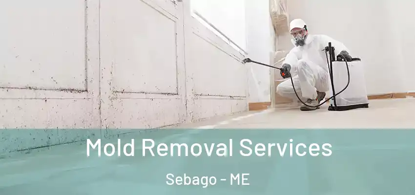  Mold Removal Services Sebago - ME