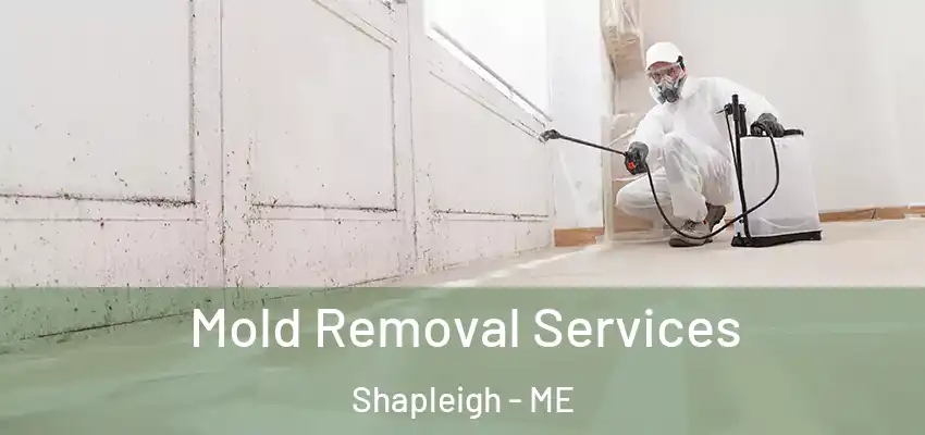  Mold Removal Services Shapleigh - ME