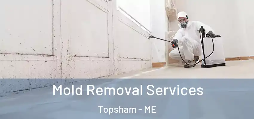  Mold Removal Services Topsham - ME