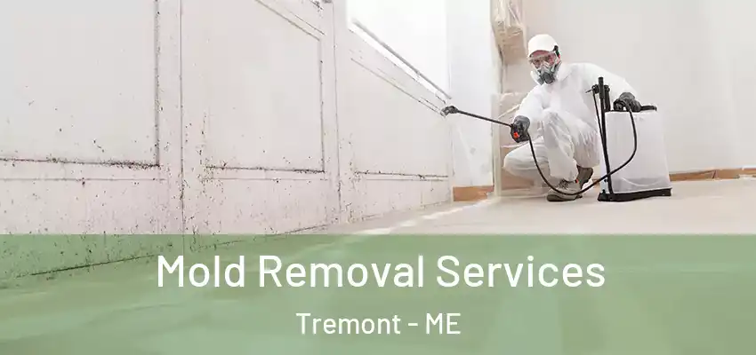  Mold Removal Services Tremont - ME