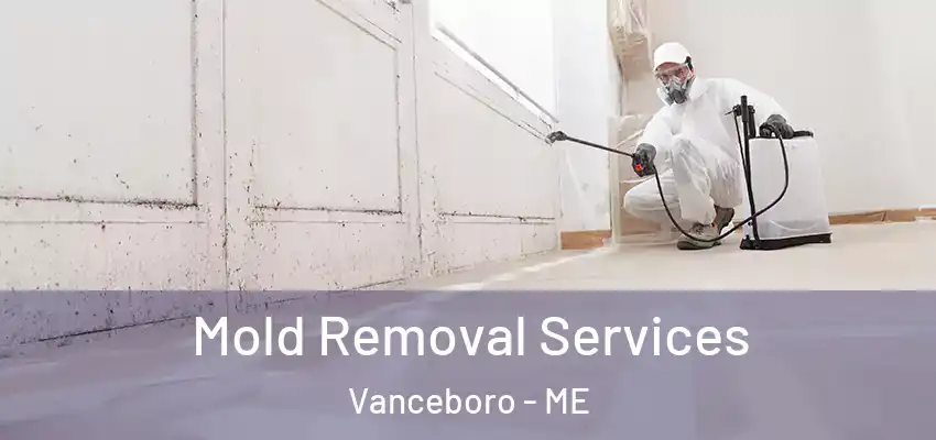  Mold Removal Services Vanceboro - ME