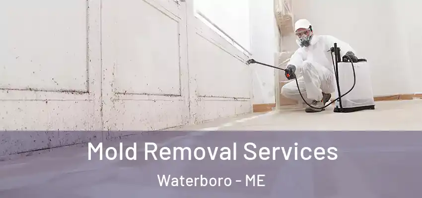  Mold Removal Services Waterboro - ME