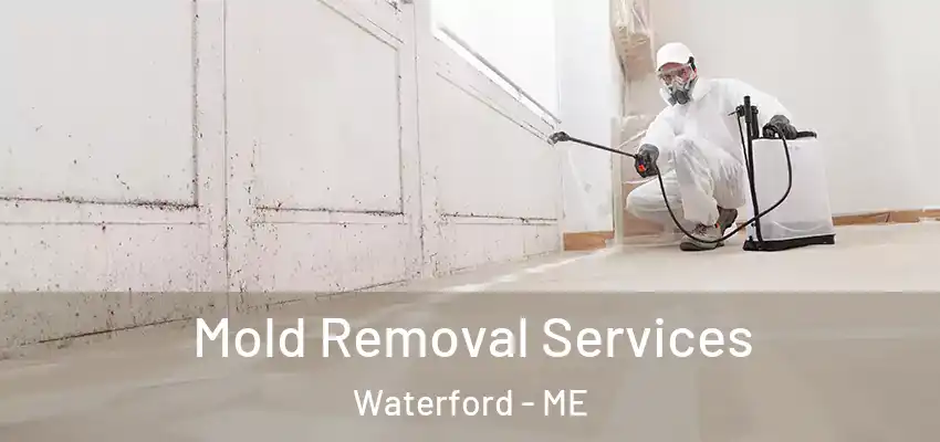 Mold Removal Services Waterford - ME