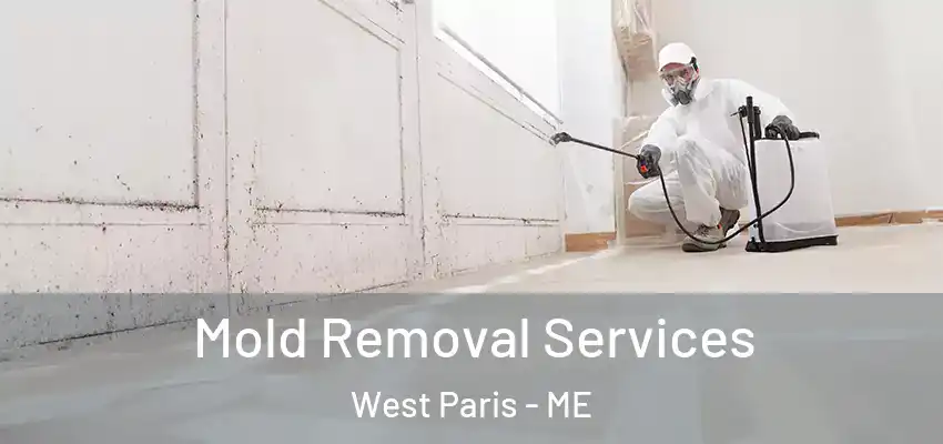  Mold Removal Services West Paris - ME