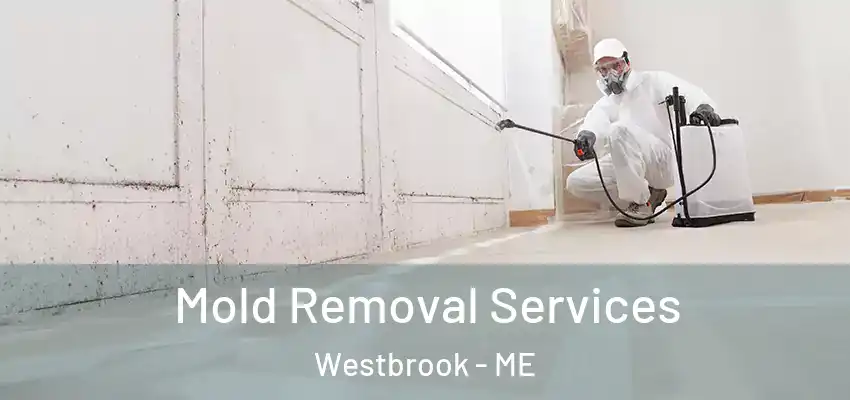  Mold Removal Services Westbrook - ME