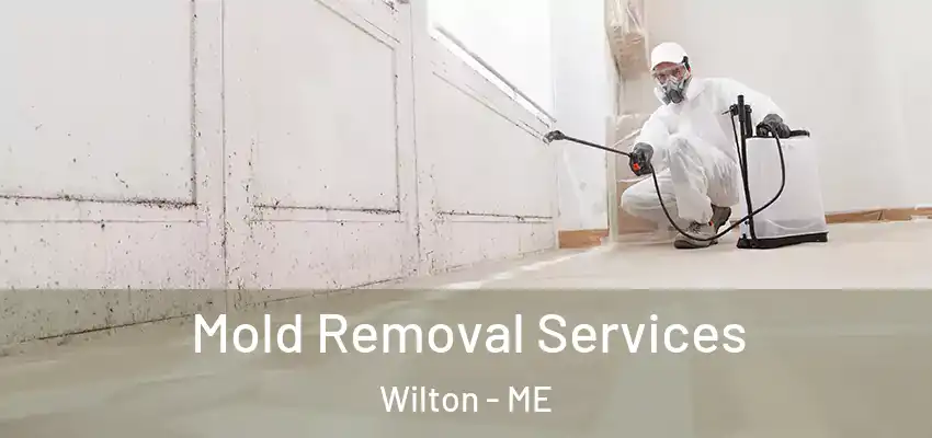  Mold Removal Services Wilton - ME
