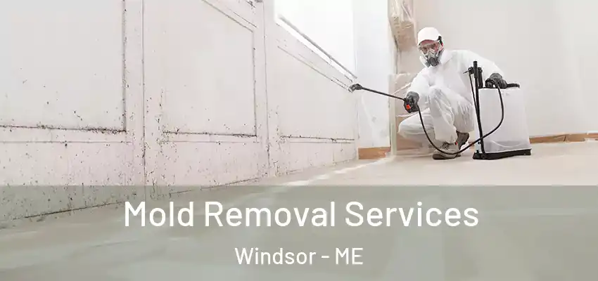  Mold Removal Services Windsor - ME