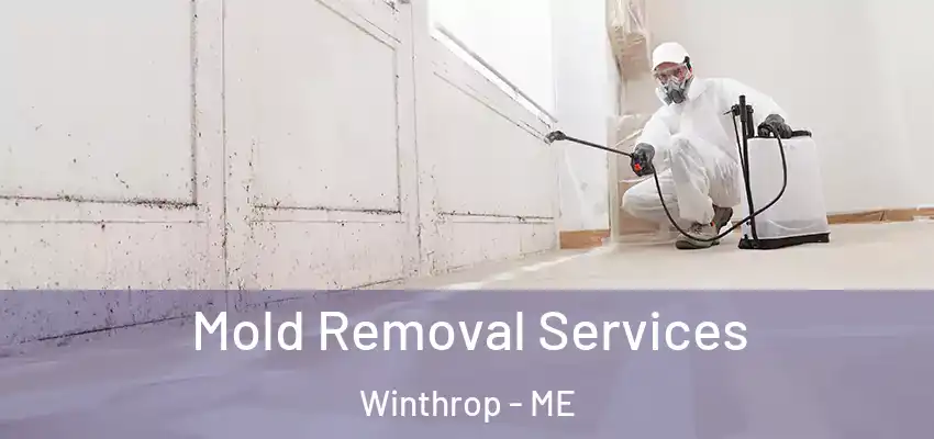  Mold Removal Services Winthrop - ME
