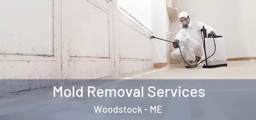  Mold Removal Services Woodstock - ME