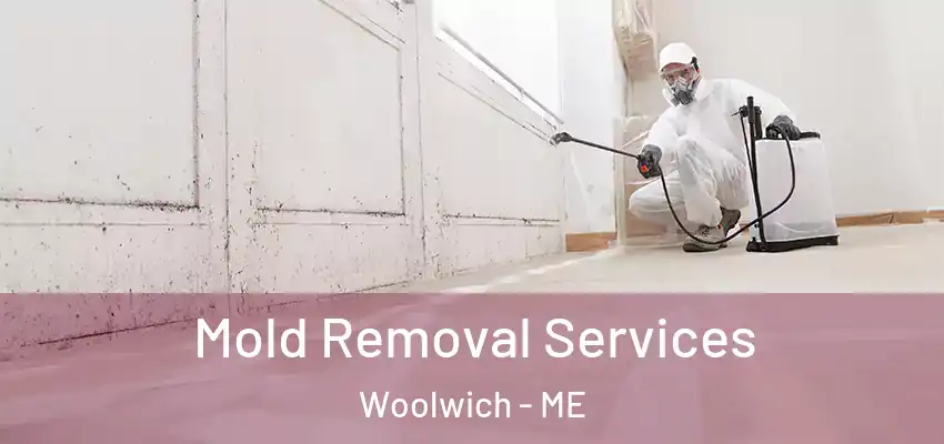  Mold Removal Services Woolwich - ME
