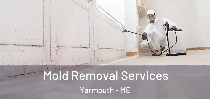  Mold Removal Services Yarmouth - ME