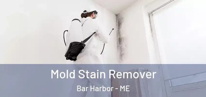 Mold Stain Remover Bar Harbor - ME