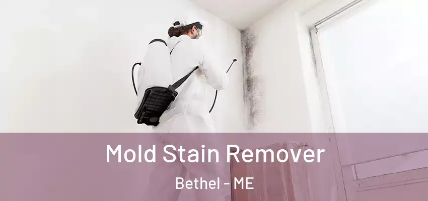  Mold Stain Remover Bethel - ME