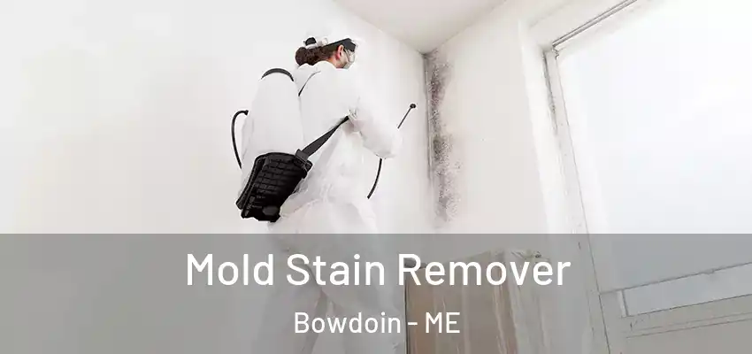  Mold Stain Remover Bowdoin - ME