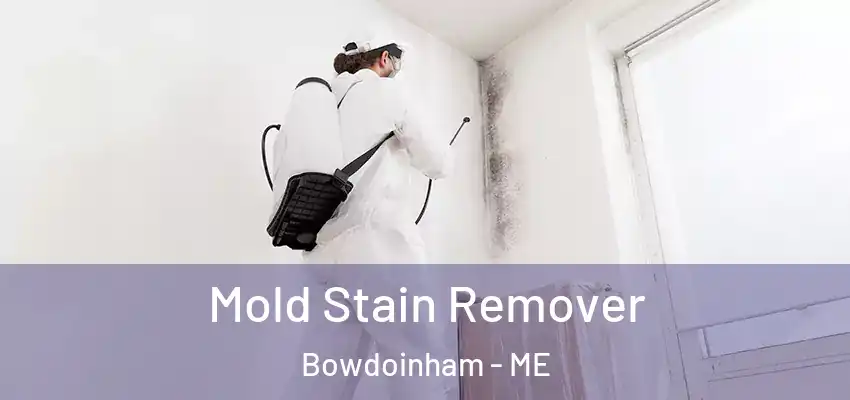  Mold Stain Remover Bowdoinham - ME