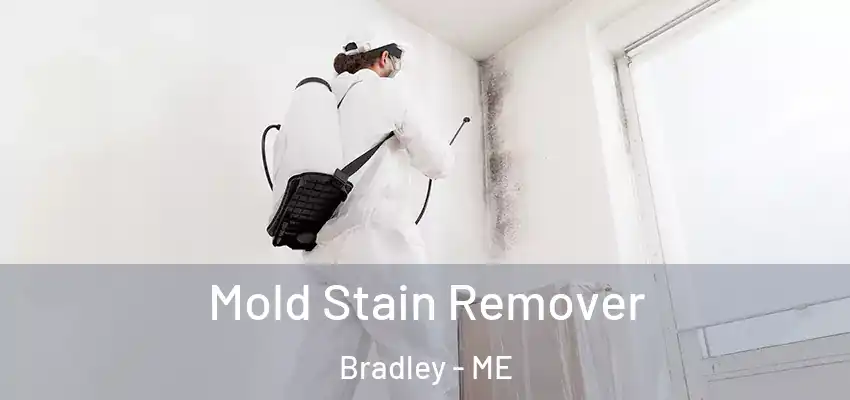  Mold Stain Remover Bradley - ME