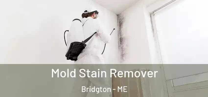 Mold Stain Remover Bridgton - ME