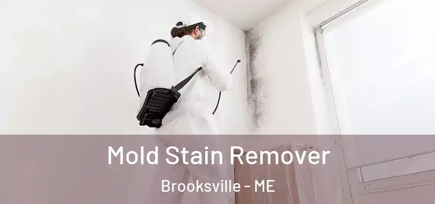 Mold Stain Remover Brooksville - ME