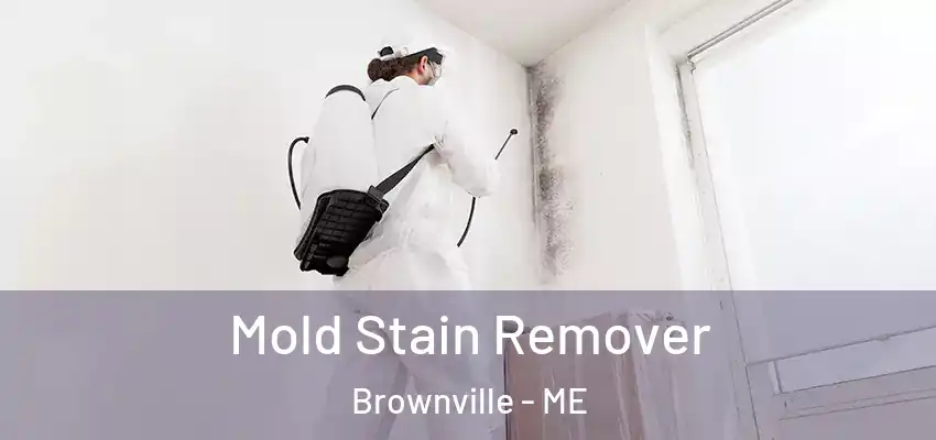Mold Stain Remover Brownville - ME