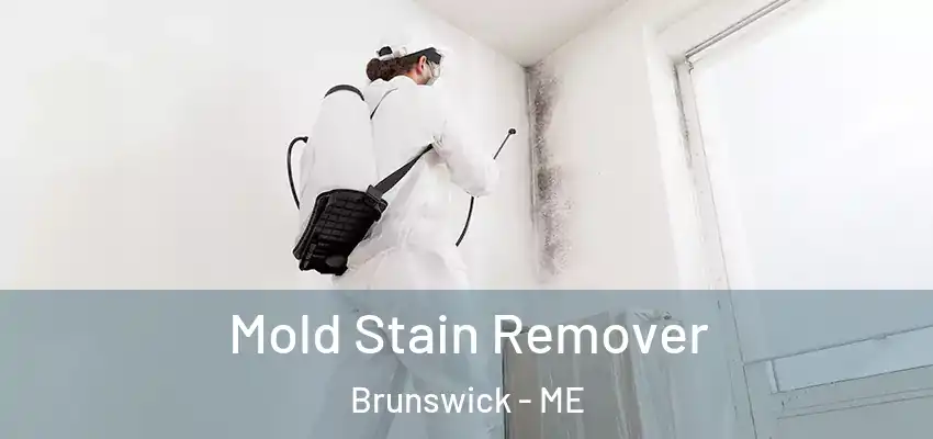 Mold Stain Remover Brunswick - ME