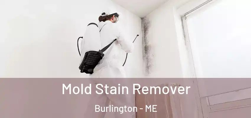 Mold Stain Remover Burlington - ME