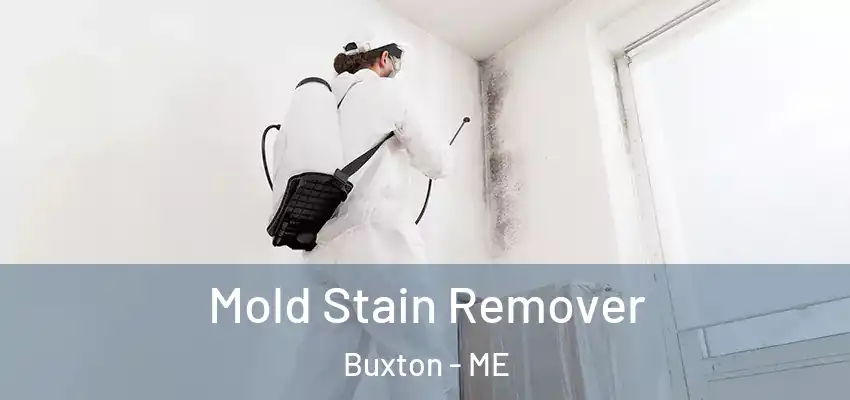  Mold Stain Remover Buxton - ME