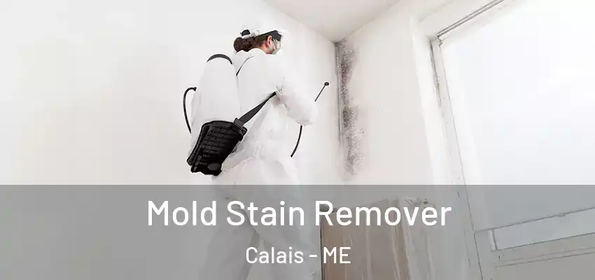  Mold Stain Remover Calais - ME