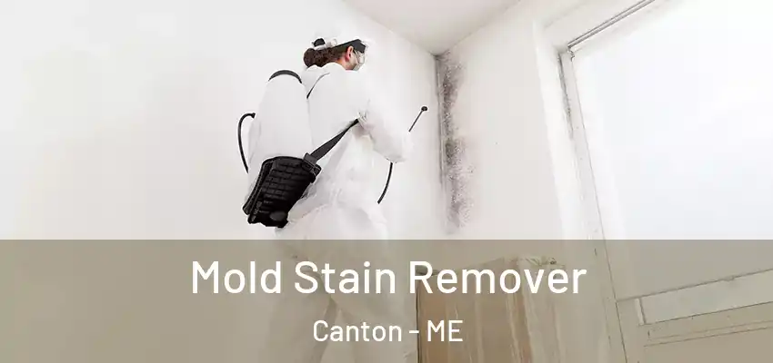  Mold Stain Remover Canton - ME
