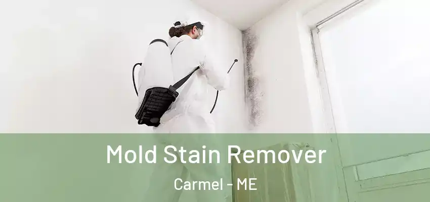  Mold Stain Remover Carmel - ME