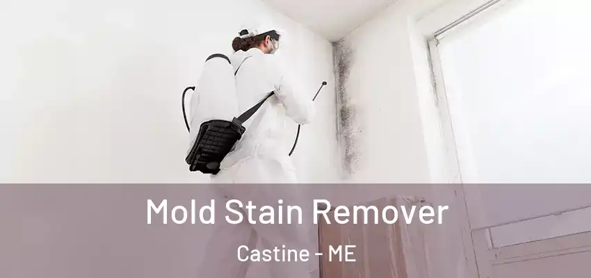  Mold Stain Remover Castine - ME
