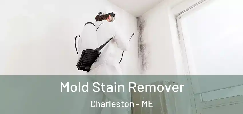 Mold Stain Remover Charleston - ME