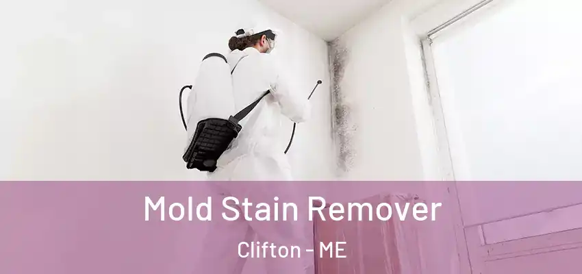 Mold Stain Remover Clifton - ME