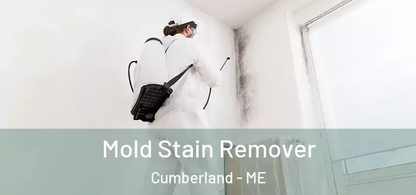 Mold Stain Remover Cumberland - ME