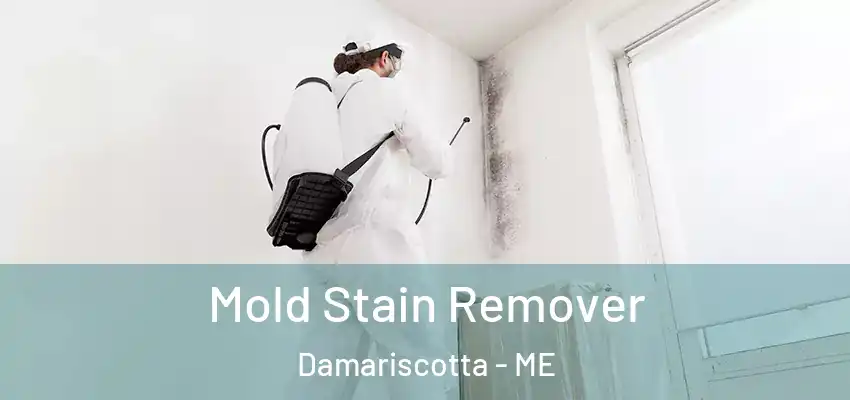 Mold Stain Remover Damariscotta - ME