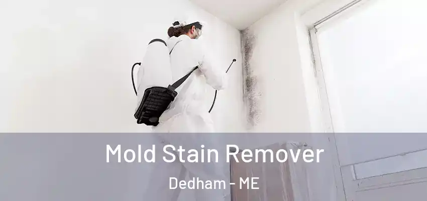  Mold Stain Remover Dedham - ME