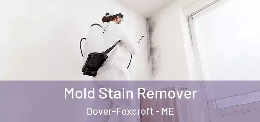  Mold Stain Remover Dover-Foxcroft - ME