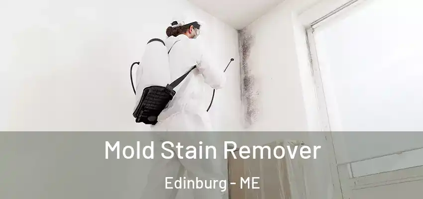  Mold Stain Remover Edinburg - ME
