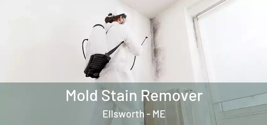 Mold Stain Remover Ellsworth - ME