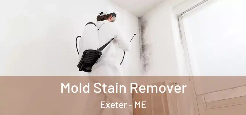  Mold Stain Remover Exeter - ME