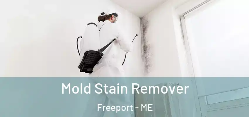 Mold Stain Remover Freeport - ME