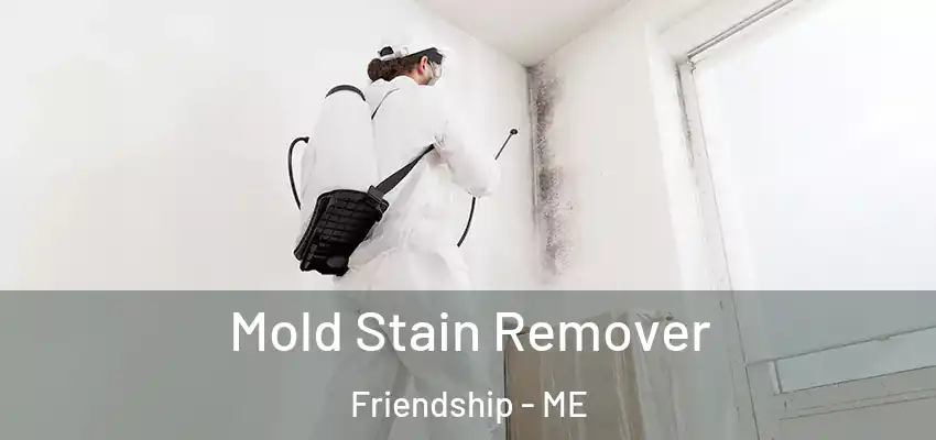  Mold Stain Remover Friendship - ME