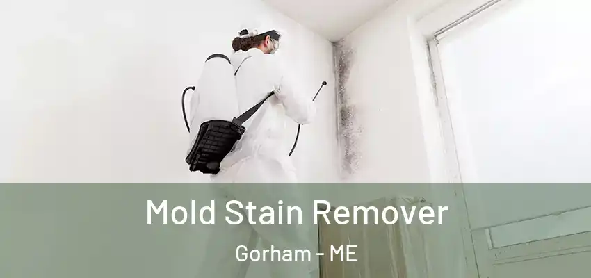  Mold Stain Remover Gorham - ME