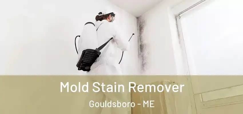 Mold Stain Remover Gouldsboro - ME