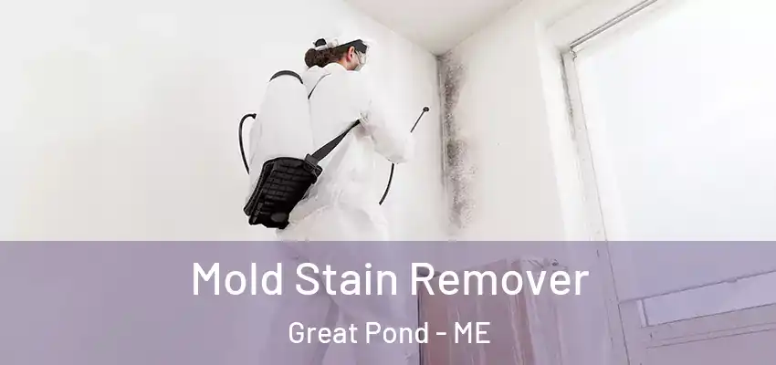 Mold Stain Remover Great Pond - ME