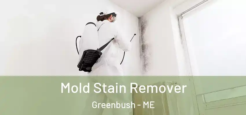 Mold Stain Remover Greenbush - ME