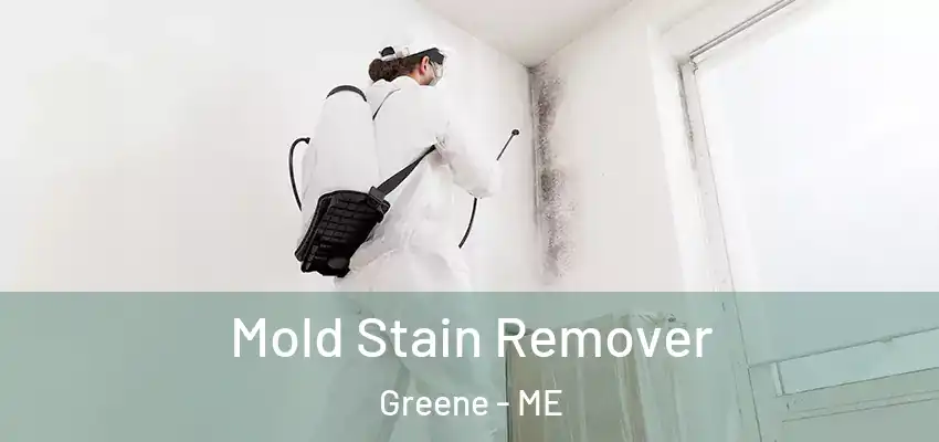  Mold Stain Remover Greene - ME