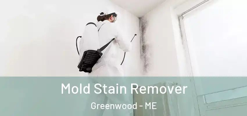  Mold Stain Remover Greenwood - ME