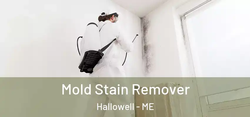 Mold Stain Remover Hallowell - ME
