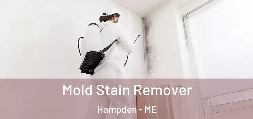  Mold Stain Remover Hampden - ME