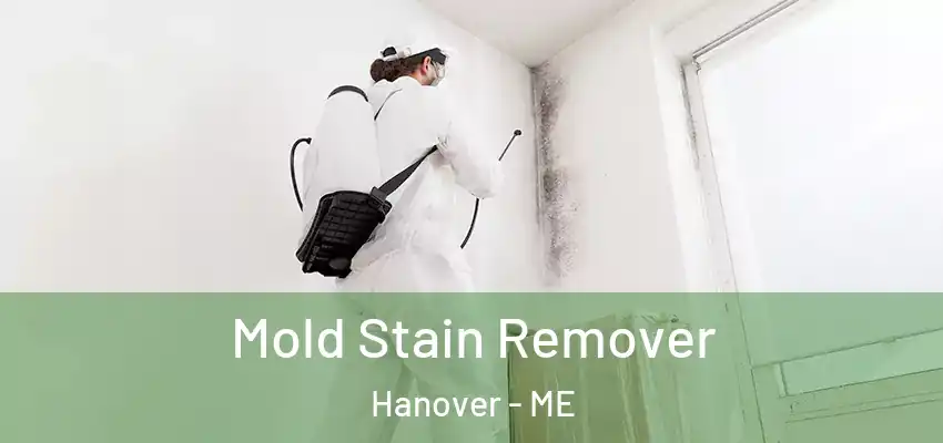 Mold Stain Remover Hanover - ME